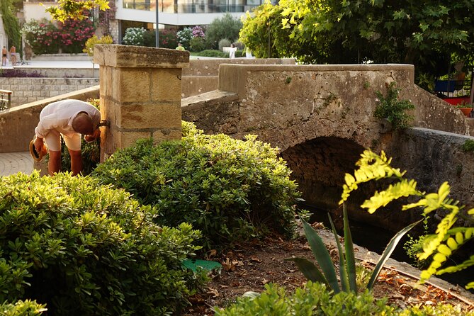 2-Hour Guided Walking Tour in Mlini - Price and value: is $57.88 for two hours fair?