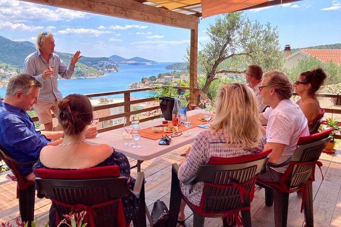 2 Hours Wine Tasting in Dubrovnik Old Town - What you learn: Croatian wine history, grape varieties, and a WSET-style method