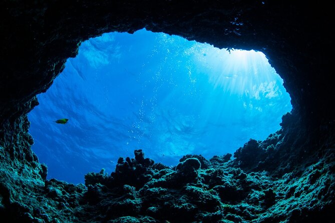 4 Hours Caves, Snorkeling and Swimming Tour in Dubrovnik - Small-group feel, active water time, and what that means for your comfort