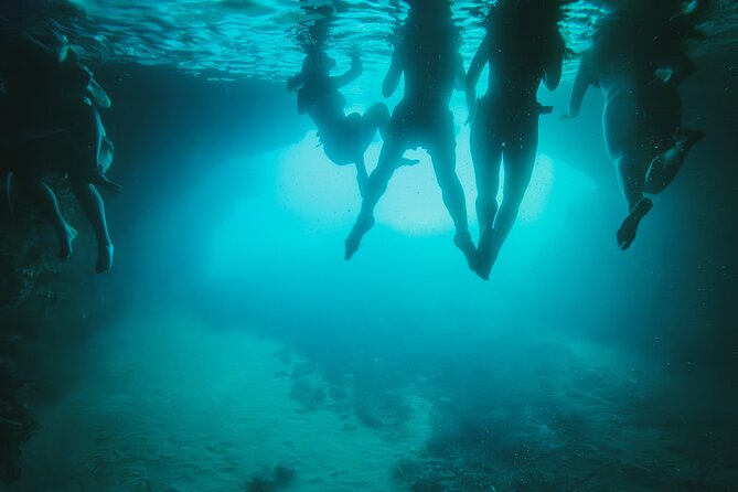 8 Hour Private Sea Safari Speedboat Dubrovnik - Lokrum Island and its botanical gardens