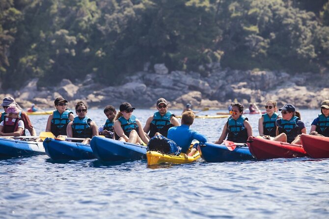 Afternoon Kayaking in Dubrovnik - Key things to know before you paddle