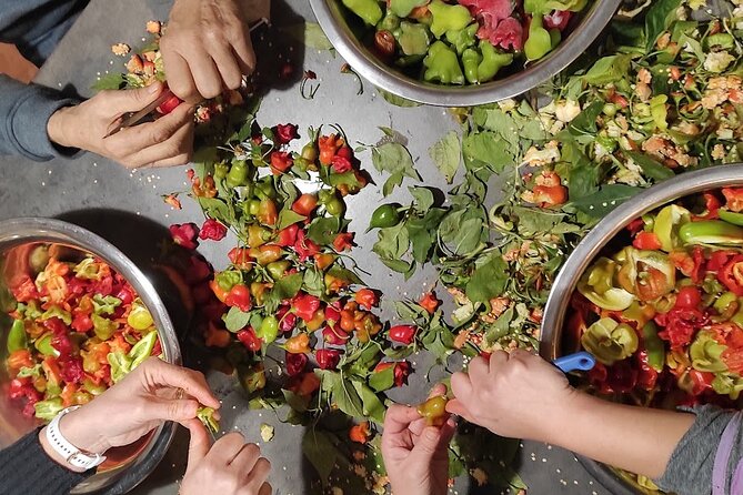 Authentic Garden to Table Cooking Class in Dubrovnik Countryside - Dinner conversation: the 500-year family tree stories