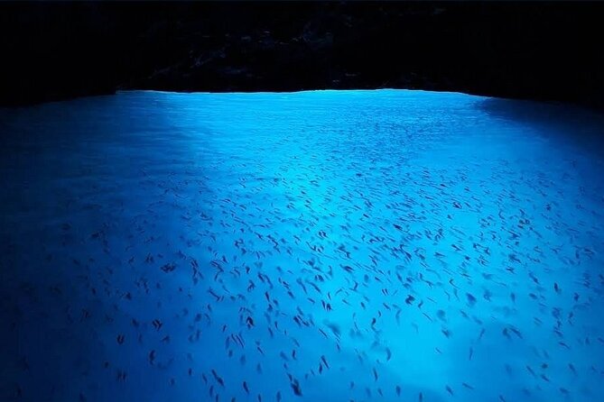 Blue and Green Caves boat tour from Dubrovnik Old City - Price and What You Actually Get for $66.54