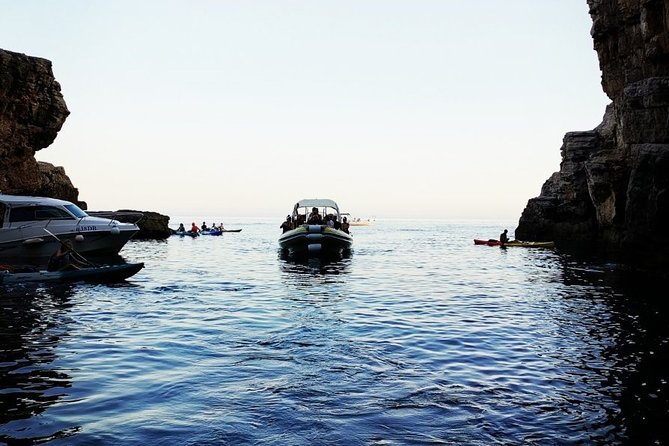 Blue Cave | 5-Hour Afternoon Sea Safari - The cliff jumping finale: a bonus, not a guarantee