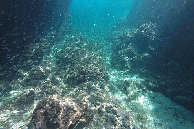Blue cave tour with a speedboat-small group - Who this tour fits best in Dubrovnik