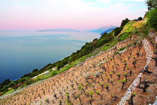 Classic Tour with Wine Tastings from Dubrovnik - Ston’s medieval walls, salt factory fame, and the reality of downtime