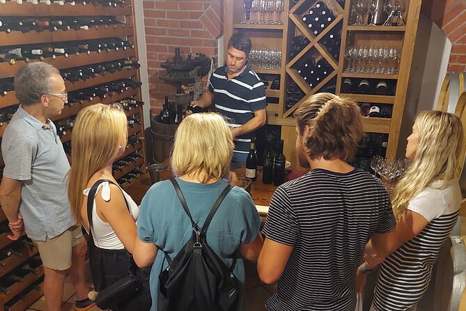 Classic Tour with Wine Tastings from Dubrovnik - Timing, driving, and why the van ride is part of the value