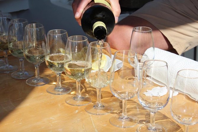 Classic Tour with Wine Tastings from Dubrovnik - Common snags to plan for before you go