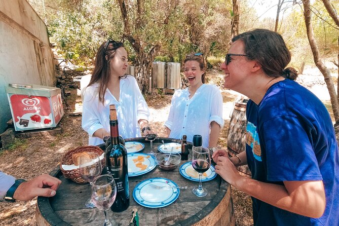 Coastal Vineyards: A Dream Wine Tour to Elaphiti Islands - Key highlights you’ll care about