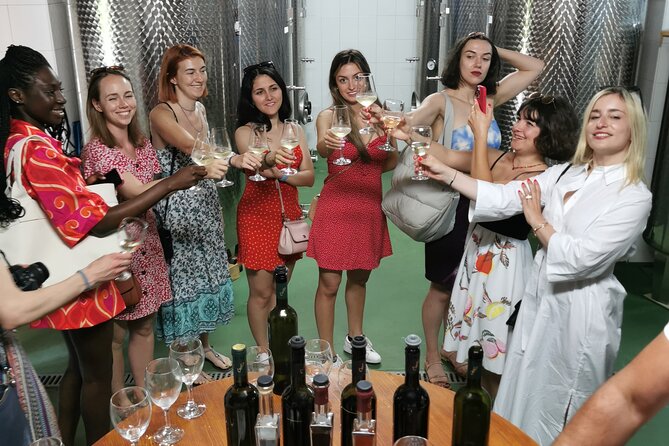 Country side Dubrovnik gastro and wine tour - Ston Walls walk: Panoramas with a clear extra cost