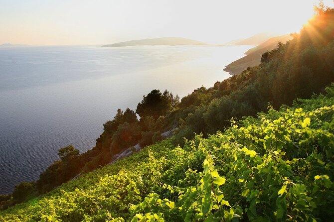 Culinary Experince from Dubrovnik PRIVATE 5course LUNCH included - Price, what you get, and value for money at $262.85 per person