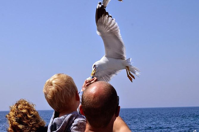 Day Cruise in the Elafiti Islands from Dubrovnik - Island Stop 2: Šipan for Monastery Feels and a Slower Pace