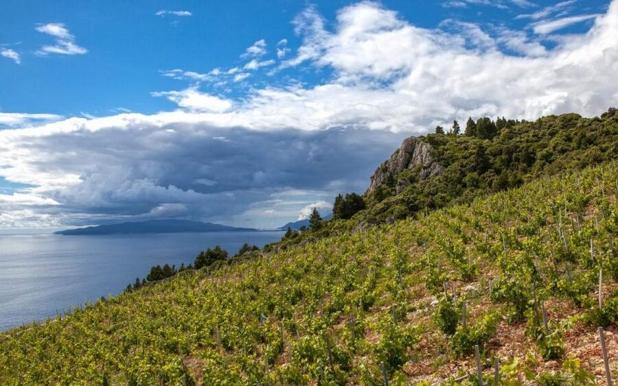Day Tour from Dubrovnik - Korčula and Pelješac Wine Tasting - The timing: what 07:30 to 18:00 feels like