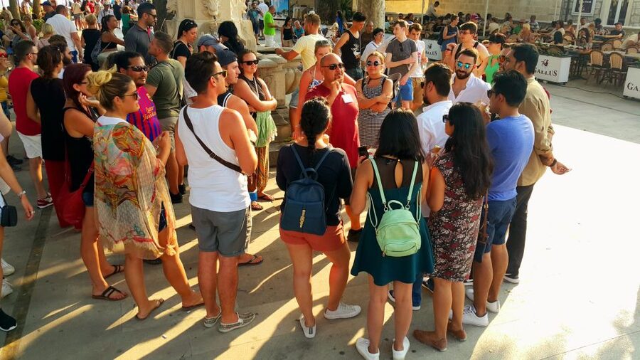 Dubrovnik: 1.5-Hour Guided Old Town Walking Tour - Franciscans, medicine, and the oldest functioning pharmacy
