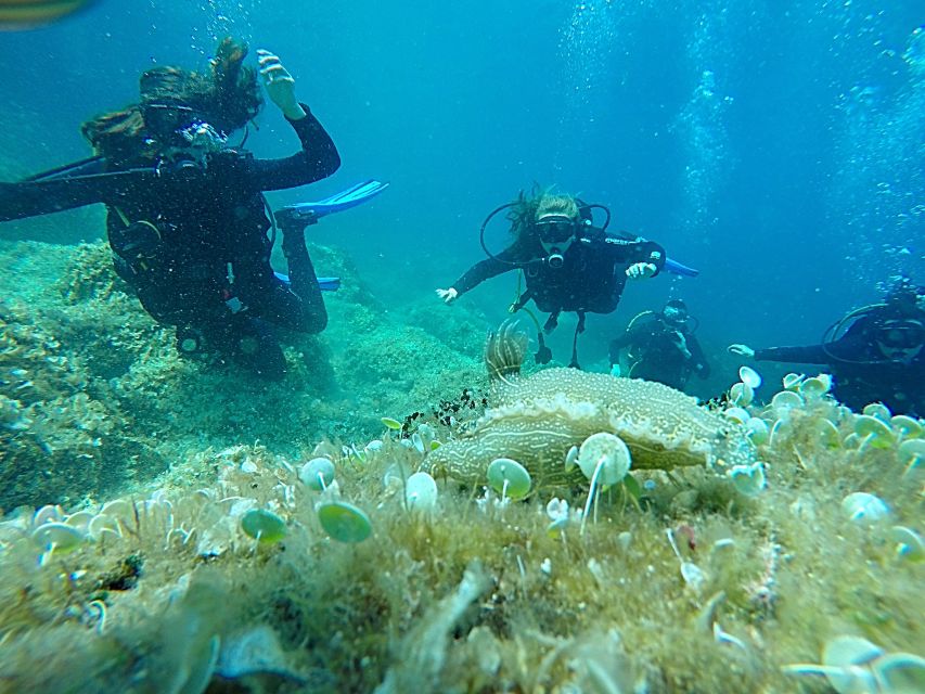 Dubrovnik: 1-Day Discover Scuba Diving Course - Theory and gear briefing: where confidence gets built