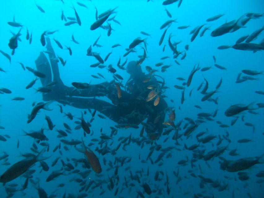 Dubrovnik: 1-Day Diving Package - Key highlights I’d plan around