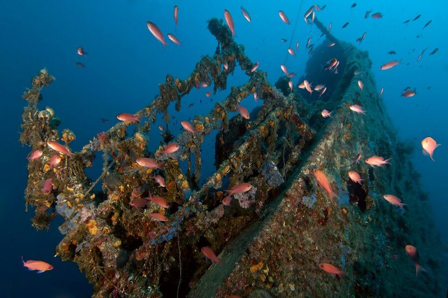 Dubrovnik: 1-Day Diving Package - Blue Planet office at Dubrovnik Palace, and what your schedule looks like