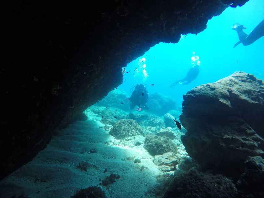 Dubrovnik: 1-Day Diving Package - Small groups, serious instructors, and how the good guidance shows up