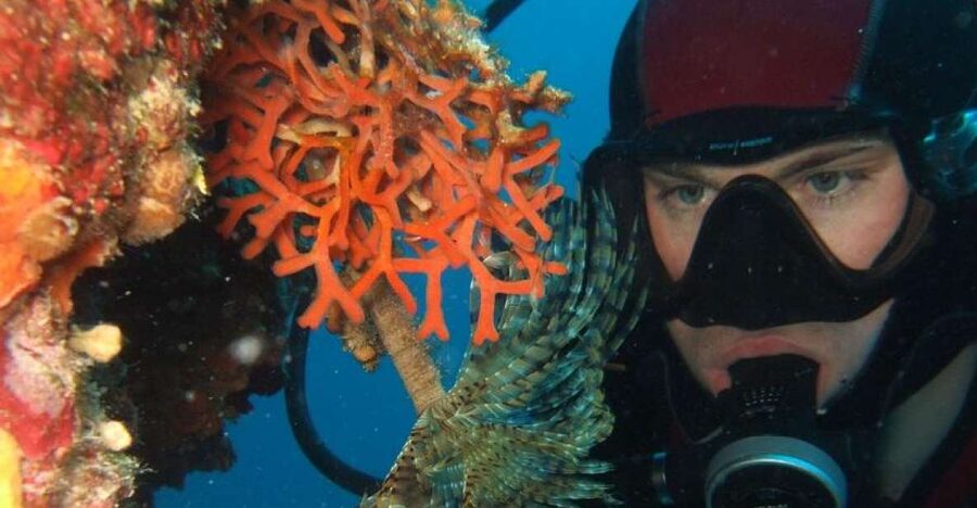 Dubrovnik: 1-Day Diving Package - Two sessions in one day, without turning it into a grind