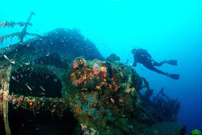 Dubrovnik 1 Dive for Certified Divers - How the guide picks your underwater site (and why you should care)