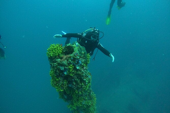 Dubrovnik 1 Dive for Certified Divers - Group size: max 5 means less chaos and more attention
