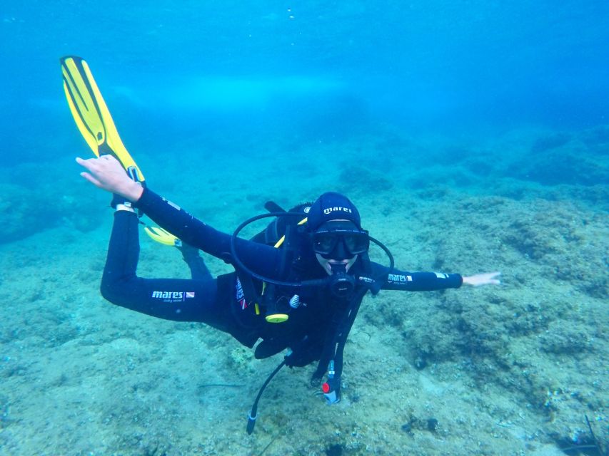 Dubrovnik 2-Hour Uncertified Divers Introductory Dive - Your underwater session at 5 meters: what you’ll see and feel