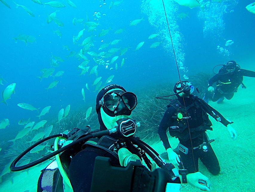 Dubrovnik 2-Hour Uncertified Divers Introductory Dive - Practical logistics: timing, surface interval, and what to bring