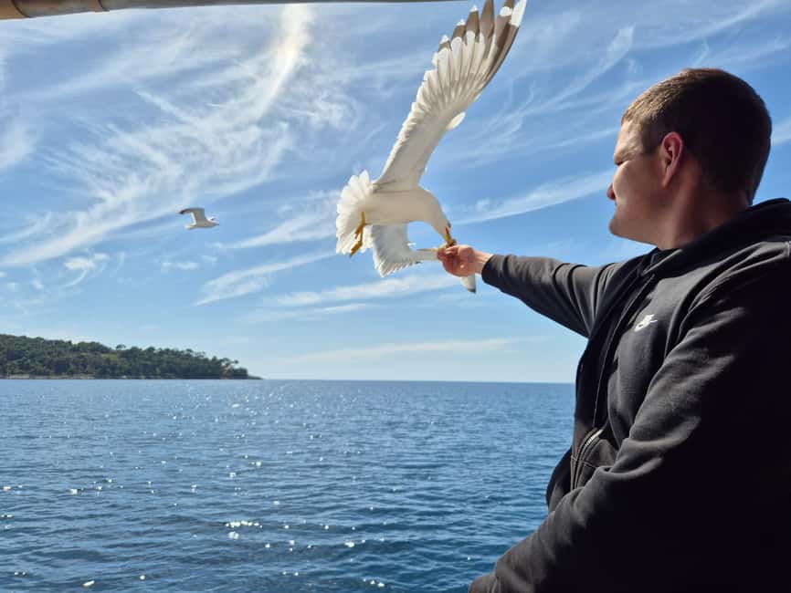 Dubrovnik: 3 Island Boat Tour with Lunch and Guide - Price and What You Actually Get for $76