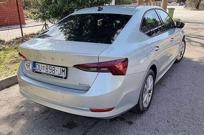 Dubrovnik Airport and Dubrovnik City Private Transfer - The driver experience: prompt, English support, and real local help