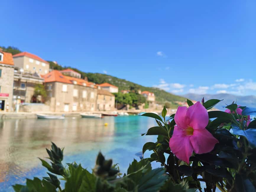 Dubrovnik: Blue Cave & Elaphiti Islands Full-Day Boat Tour - Price value: why $64 can work for Dubrovnik