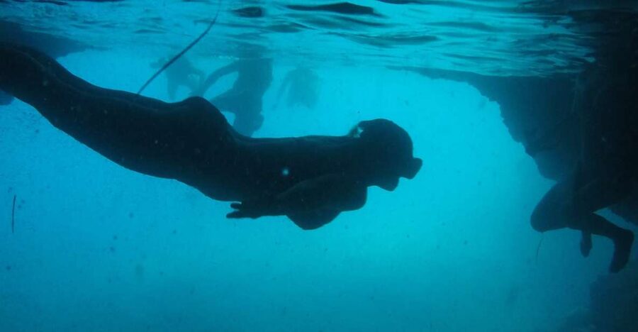 Dubrovnik: Blue Cave & Sunj Beach Boat Tour with Drinks - Šunj Beach on Lopud: sand time plus real-world island stops