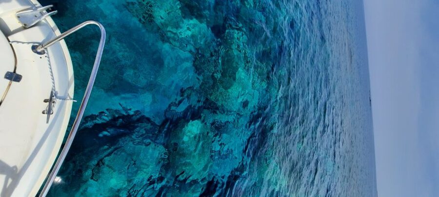 Dubrovnik: Blue Cave Tour by Speedboat - Dubrovnik’s Blue Cave Speedboat Tour in Plain Terms
