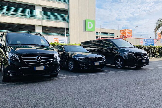 Dubrovnik Cruise Port to Dubrovnik Airport (DBV) - Departure Private Transfer - Door-to-Door on a Cruise Schedule: How the Flow Works