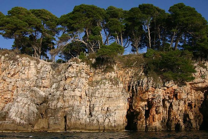 Dubrovnik Elafiti Islands Cruise with Lunch, Drinks and Pickup - Šipan, Suđurađ, and Šunj Beach: The Big Payoff Stop