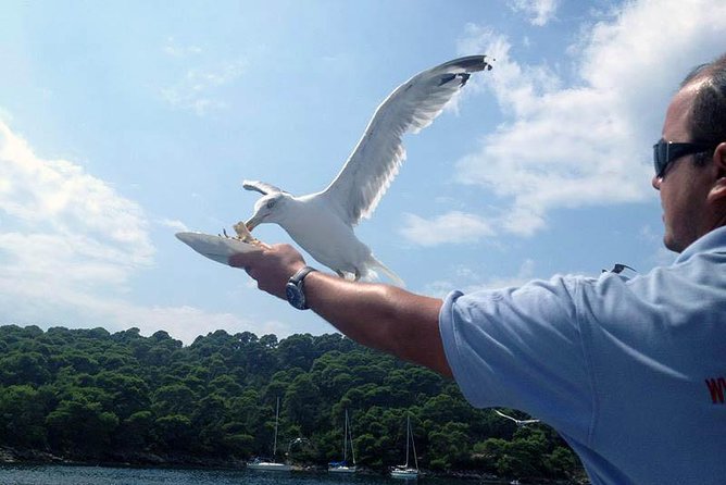 Dubrovnik Elafiti Islands Cruise with Lunch, Drinks and Pickup - Entrance Fees, Sightseeing, and What You Might Pay Extra For