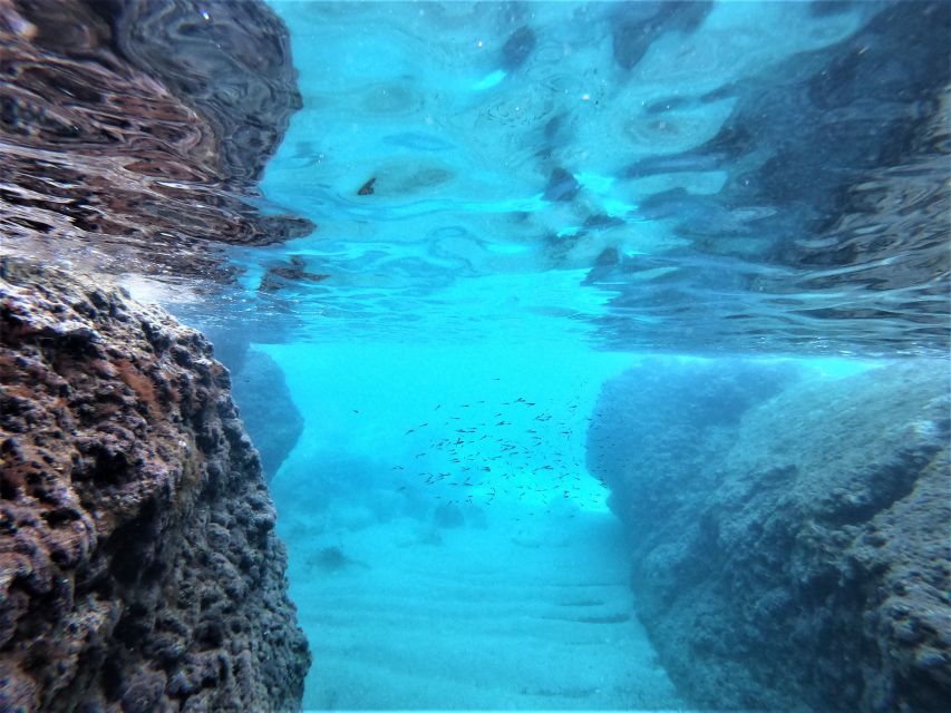 Dubrovnik: Elafiti Islands Private Full Day Boat Tour Escape - Šipan stop: snorkeling plus island time on the largest Elafiti visit