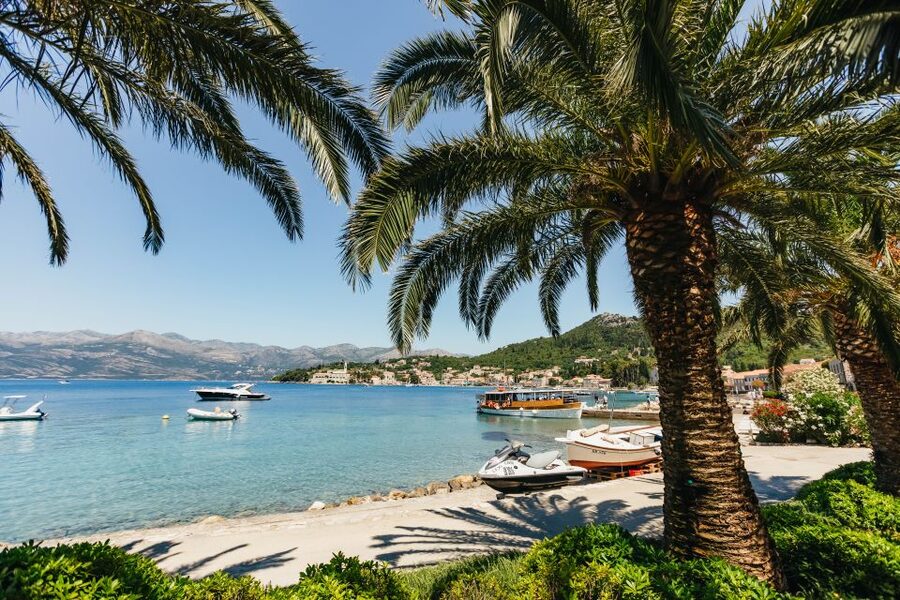 Dubrovnik: Elaphite Island Cruise w/ Drinks & Optional Lunch - Šipan Island: Olive Groves, Vineyards, and an Hour That Feels Like a Break