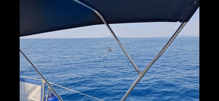 Dubrovnik - Full day group yacht tour to Elaphiti&Blue cave - How Flexible Is the Day When the Wind Changes?