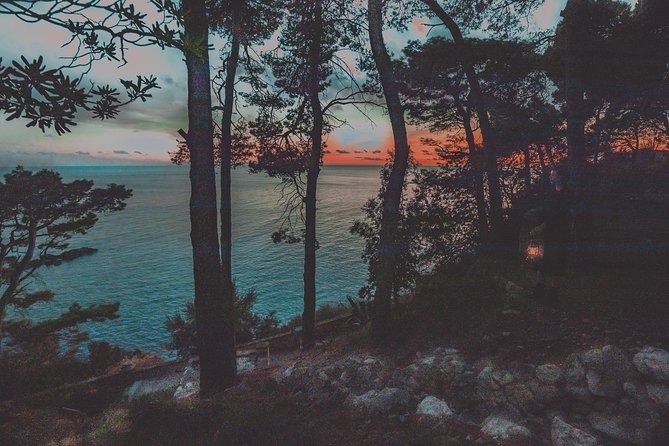 Dubrovnik Ghosts and Mystery Walking Tour - Gradac Park: the dark park, the old hospital, and quarantine history