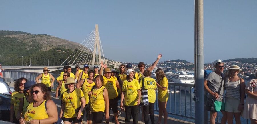 Dubrovnik: Guided Sightseeing Tour by Minivan - Price and Value: Is $35 Worth It in Dubrovnik?