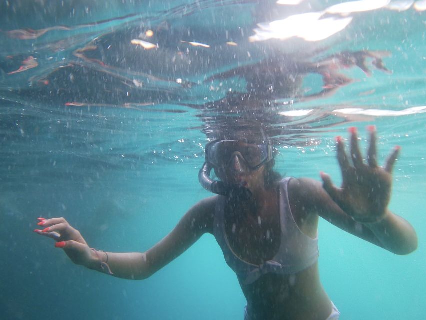 Dubrovnik: Half-Day Private Boat Trip to Elafiti Islands - What to Pack So You Enjoy the Caves and the Sand