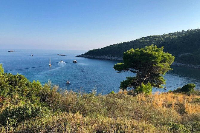 Dubrovnik Kayaking and Cycling Break - Cycling Sipan: Villas, Churches, and How the Island Grew