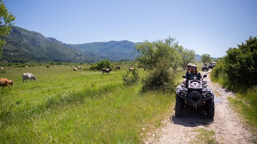 Dubrovnik: Kojan Koral ATV Quad Safari with transport - Who should book this Konavle ATV quad safari, and who should skip it