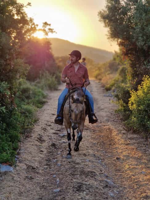 Dubrovnik Kojan Koral: Horseback Riding - Konavle Valley views make this horseback ride feel like a mini sightseeing tour