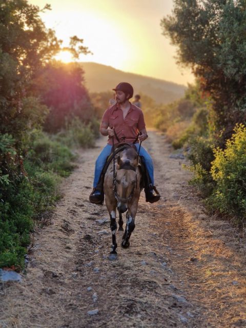 Dubrovnik Kojan Koral: Horseback Riding - Getting picked up and settling into ranch life