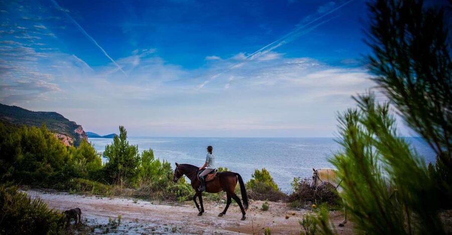 Dubrovnik Kojan Koral: Horseback Riding - The 2-hour ride: woodland trails, rocky coast, and Popovići remains