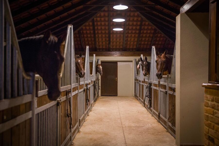 Dubrovnik Kojan Koral: Horseback Riding - Price and value: what $164 buys you in real comfort and real time