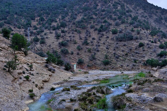 Dubrovnik Old Town and Panoramas Shore Excursion - The Ombla River spring: the city’s water source in miniature
