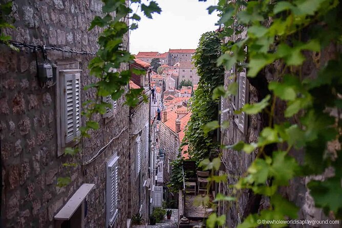Dubrovnik Old Town Food Tour: Small-Group Experience - Dietary needs and substitutions: what you should do now