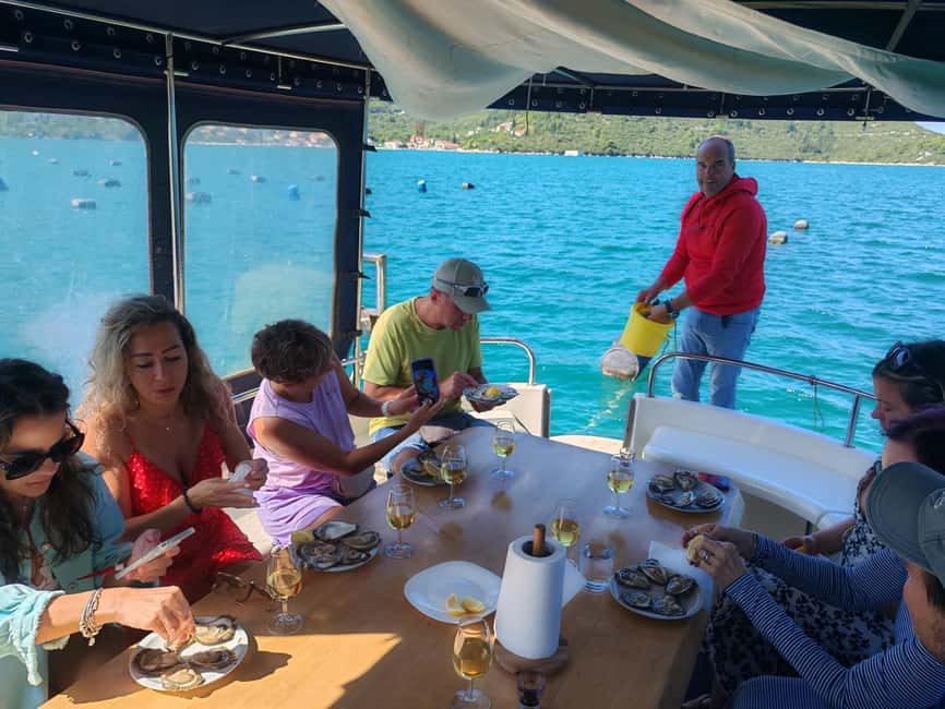 Dubrovnik: Oyster, Mussles, and Wine Tasting Tour in Ston - Price and value: is $176 worth it